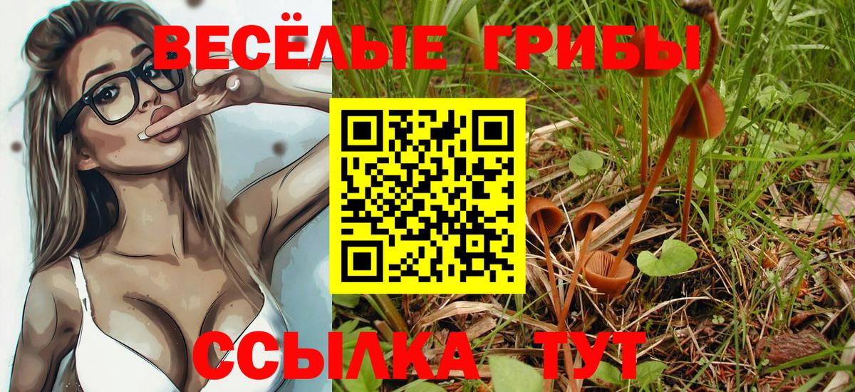 Псилоцибиновые грибы мухоморы Карталы